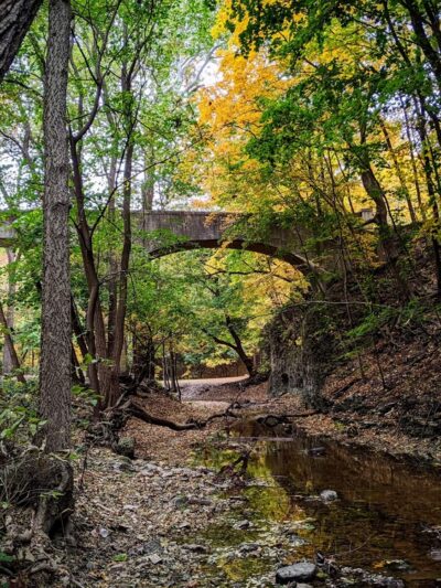 Dellwood Park - Lockport, IL
