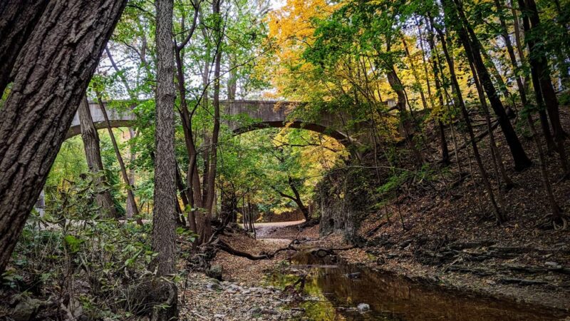 Dellwood Park - Lockport, IL