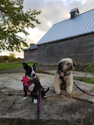 Trantina Farm Park - Lockport, IL