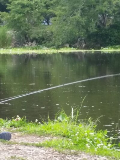 Lockport Bayouside Park - Lockport, LA