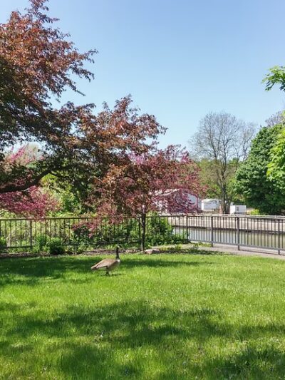 Josephine Carveth Packet Park - Lockport, NY