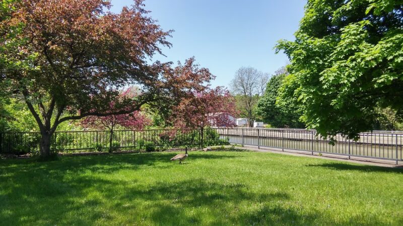 Josephine Carveth Packet Park - Lockport, NY