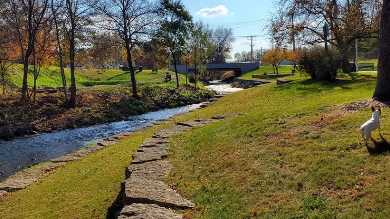 Doctor's Park - Lodi, WI