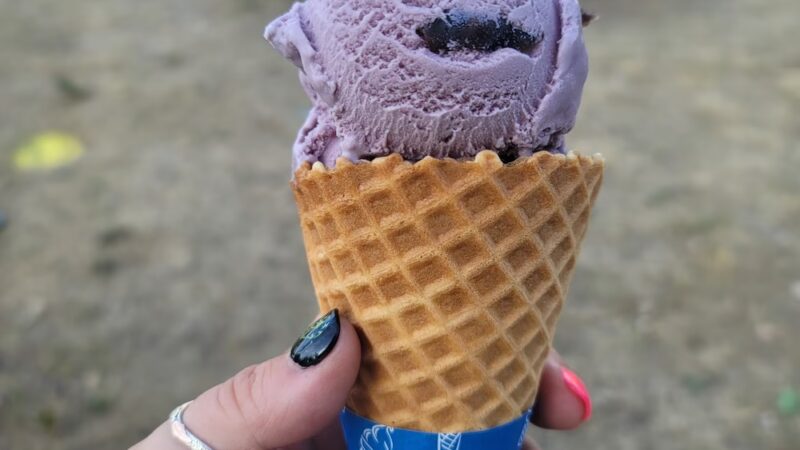 The Merrimac Scoop - Lodi, WI