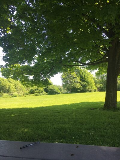 Dunwoody Park - Logansport, IN