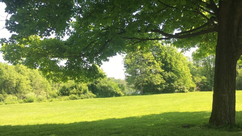Dunwoody Park - Logansport, IN
