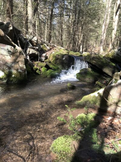 Bear Run Trail - Loganton, PA