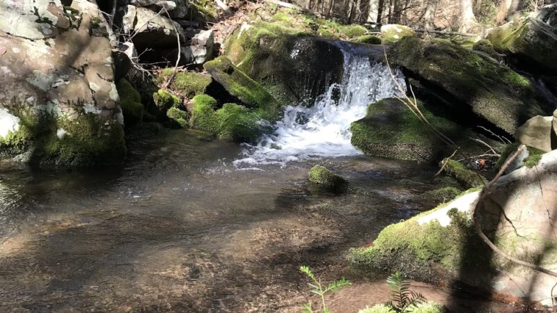 Bear Run Trail - Loganton, PA