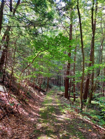 Bear Run Trail - Loganton, PA