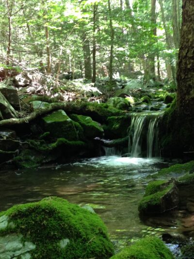 Bear Run Trail - Loganton, PA