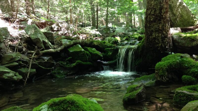Bear Run Trail - Loganton, PA