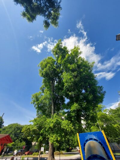 Loganville Toddler Park - Loganville, GA