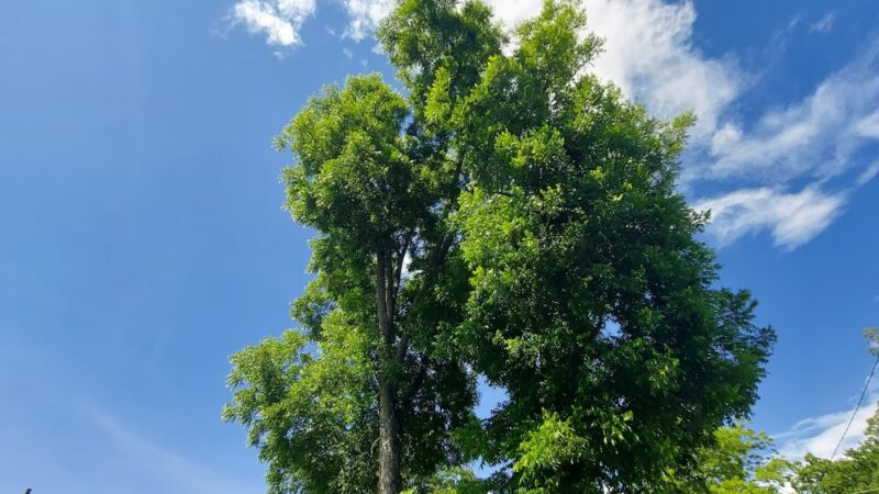 Loganville Toddler Park - Loganville, GA