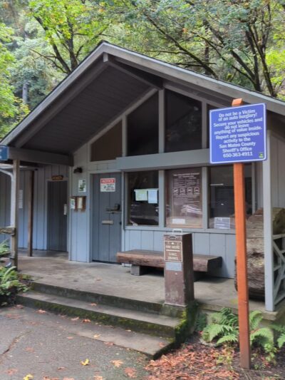Forest Trail - Loma Mar, CA