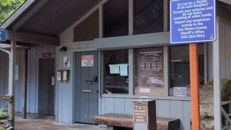 Forest Trail - Loma Mar, CA