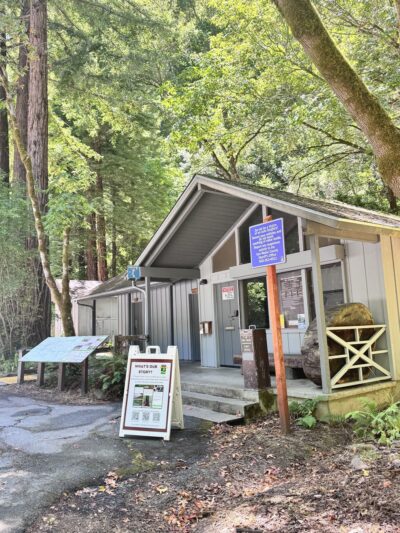 Forest Trail - Loma Mar, CA