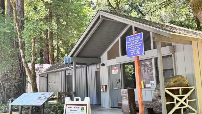 Forest Trail - Loma Mar, CA