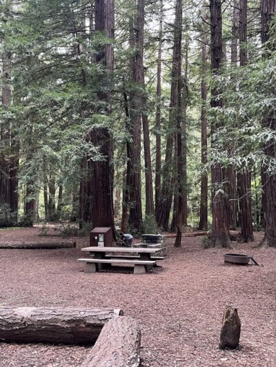 Memorial County Park - Loma Mar, CA