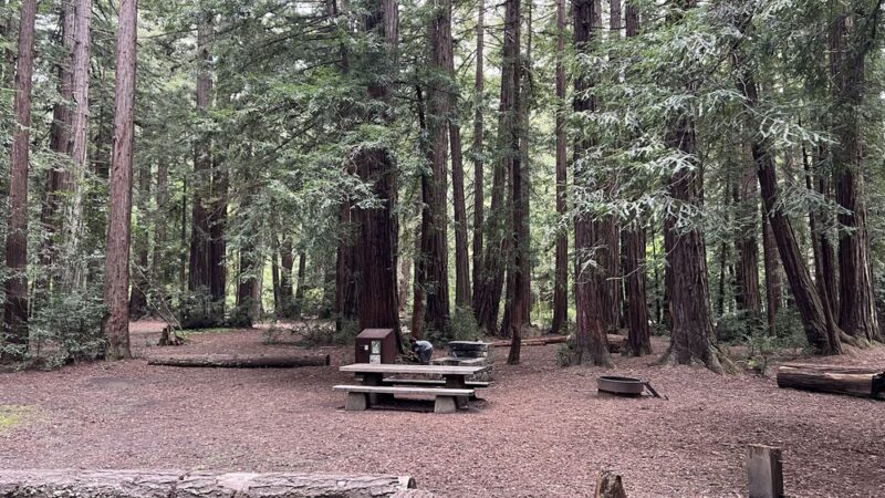 Memorial County Park - Loma Mar, CA