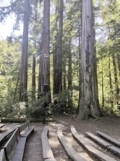 Memorial County Park - Loma Mar, CA