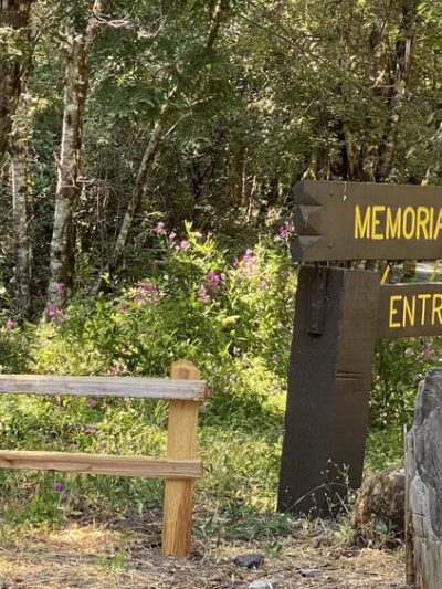 Memorial County Park - Loma Mar, CA