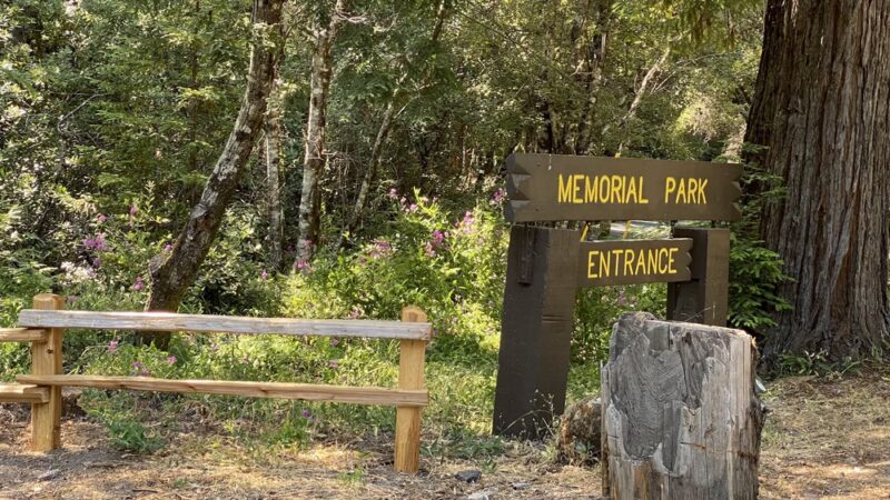 Memorial County Park - Loma Mar, CA
