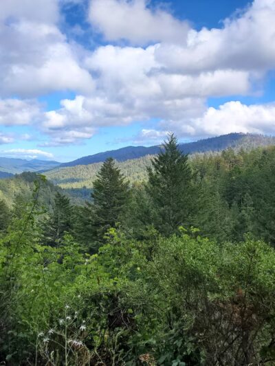 Memorial County Park - Loma Mar, CA