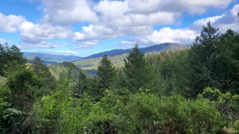 Memorial County Park - Loma Mar, CA