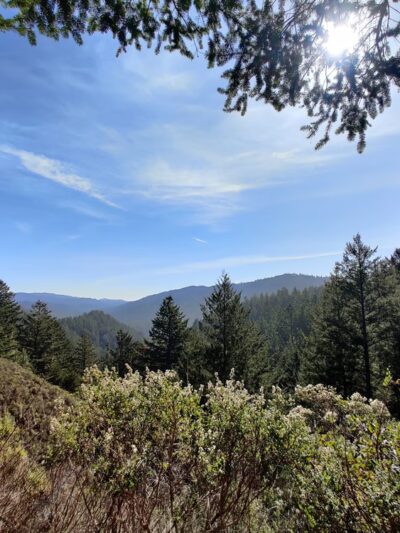 Mt Ellen Nature Trail - Loma Mar, CA