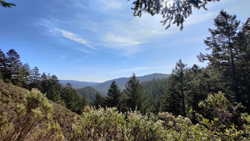 Mt Ellen Nature Trail - Loma Mar, CA