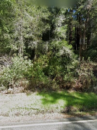 Mt Ellen Nature Trail - Loma Mar, CA