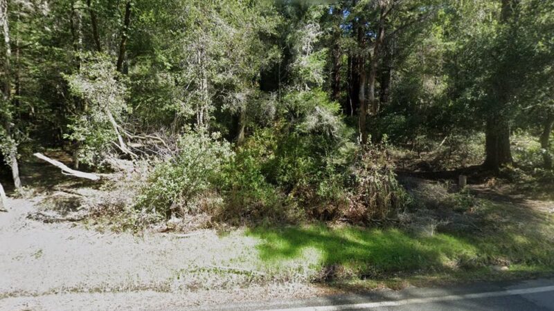 Mt Ellen Nature Trail - Loma Mar, CA