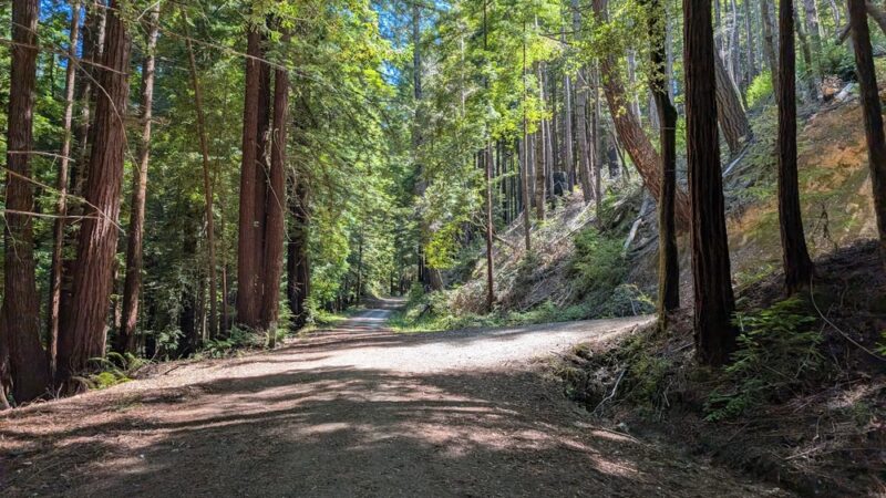 Pescadero Creek Park - Loma Mar, CA