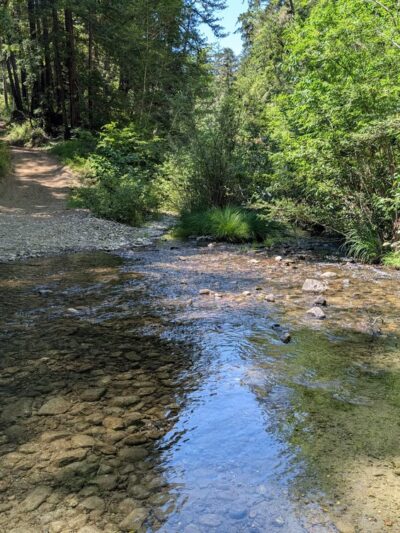 Pescadero Creek Park - Loma Mar, CA