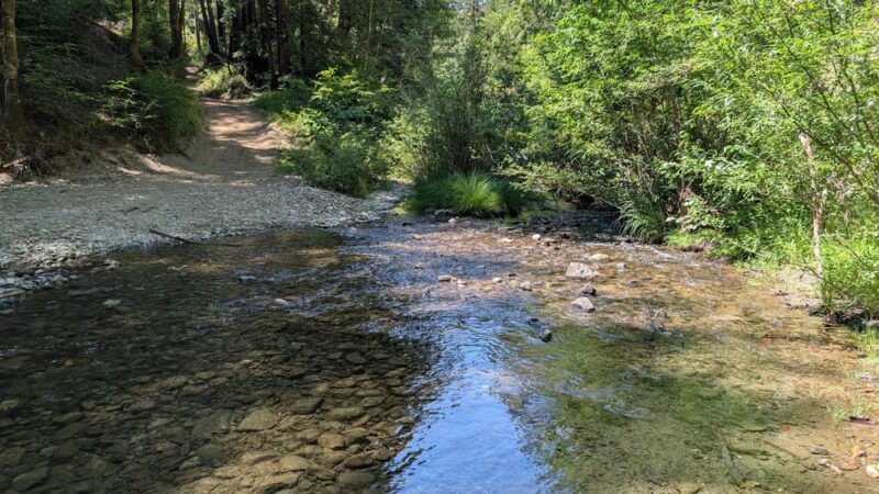 Pescadero Creek Park - Loma Mar, CA