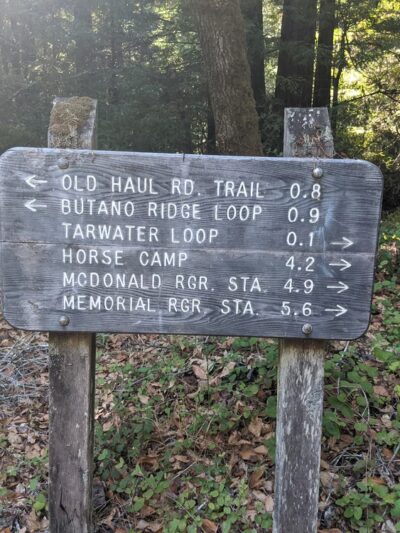 Pescadero Creek Park - Loma Mar, CA