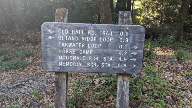 Pescadero Creek Park - Loma Mar, CA
