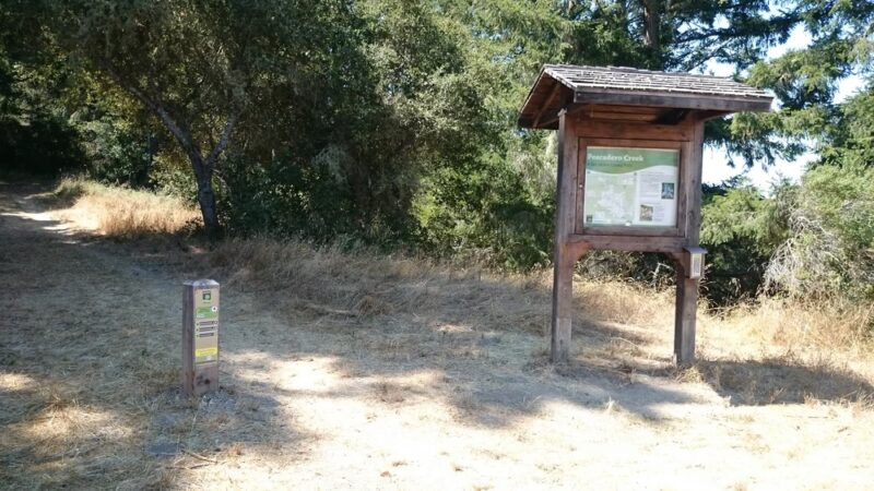 Pescadero Creek Park - Loma Mar, CA