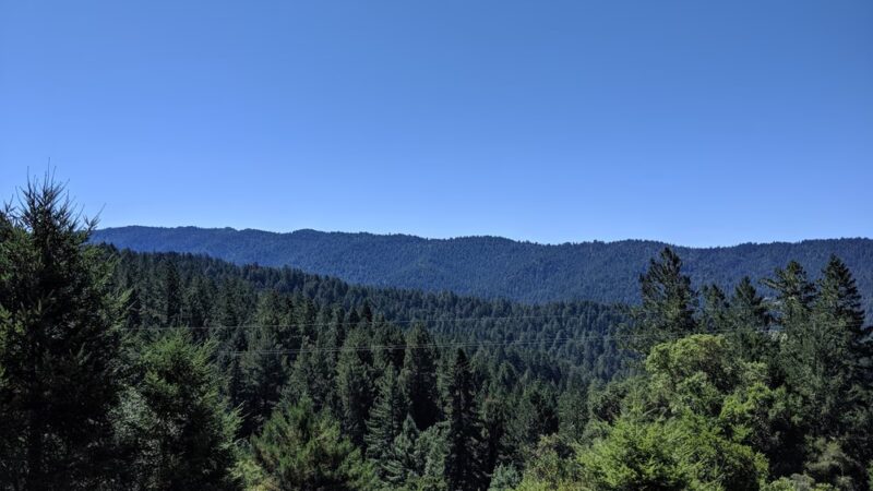 Sam McDonald Park - Loma Mar, CA