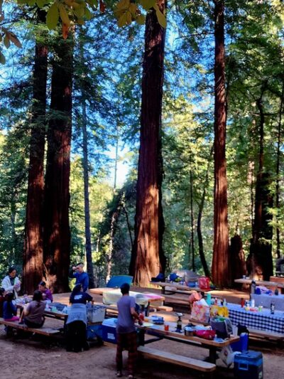 Wurr Flat #2 | Memorial Park - Loma Mar, CA