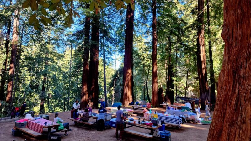 Wurr Flat #2 | Memorial Park - Loma Mar, CA