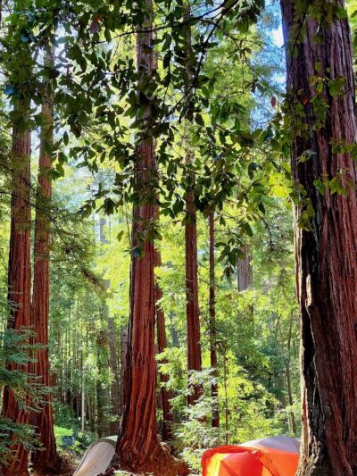 Wurr Flat #2 | Memorial Park - Loma Mar, CA