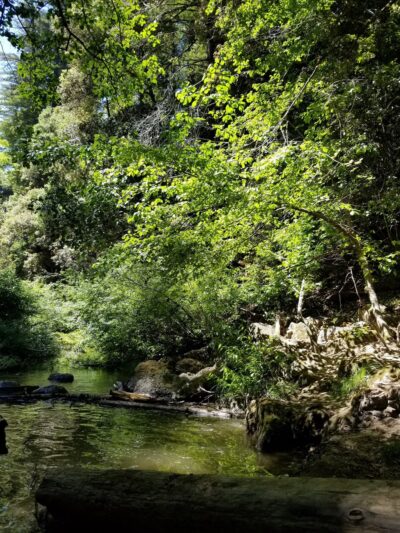 Wurr Flat #2 | Memorial Park - Loma Mar, CA