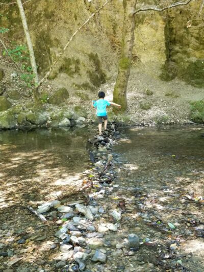 Wurr Flat #2 | Memorial Park - Loma Mar, CA