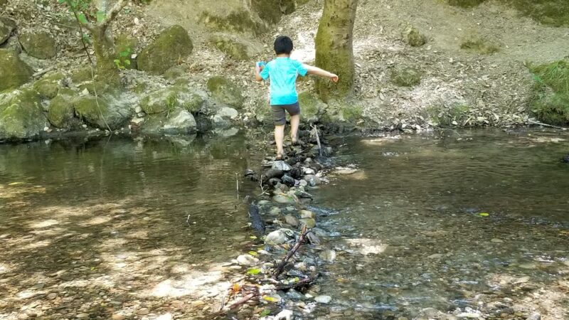 Wurr Flat #2 | Memorial Park - Loma Mar, CA