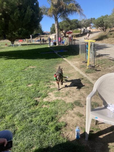 Barkin Park - Lompoc, CA