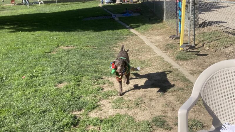 Barkin Park - Lompoc, CA