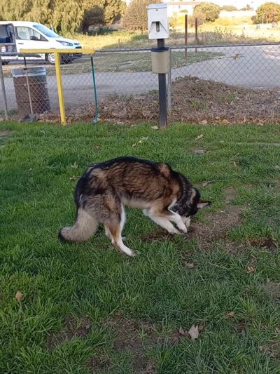Barkin Park - Lompoc, CA