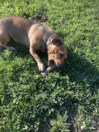 Barkin Park - Lompoc, CA