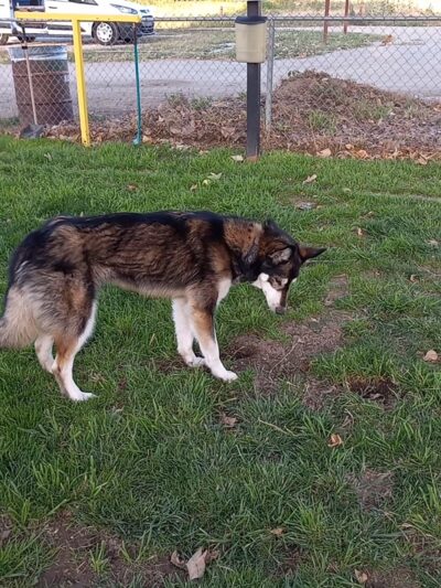 Barkin Park - Lompoc, CA